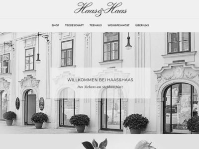 Konzeption und Gestaltung der Website von Haas&Haas Wien von Michael Niederdorfer Schöngemacht